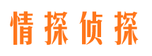 吴川市婚外情调查